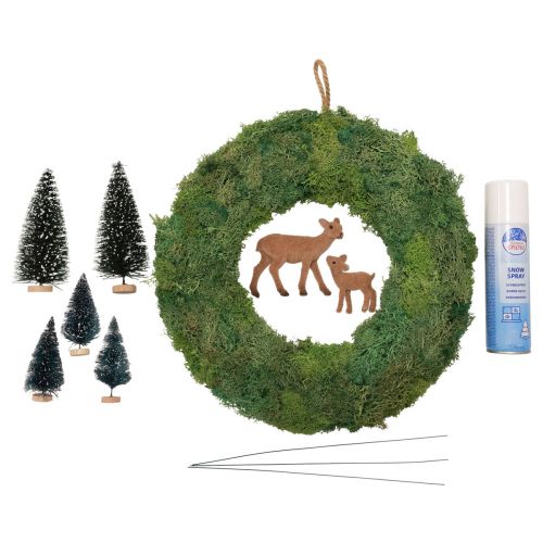 Floristik24 DIY doos moskrans winter bosdeurkrans Kerst Ø34cm
