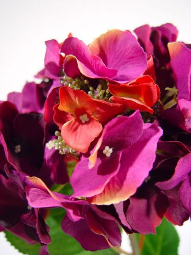 Floristik24 Hortensia 43cm donkerpaars (3st.)
