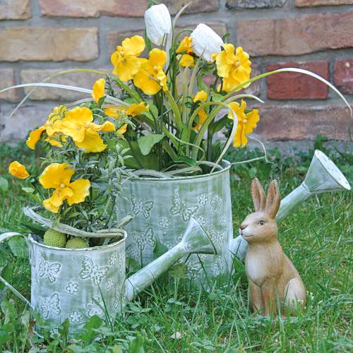 Floristik24 Planter gieter met vlinders Roze Ø10cm H10cm