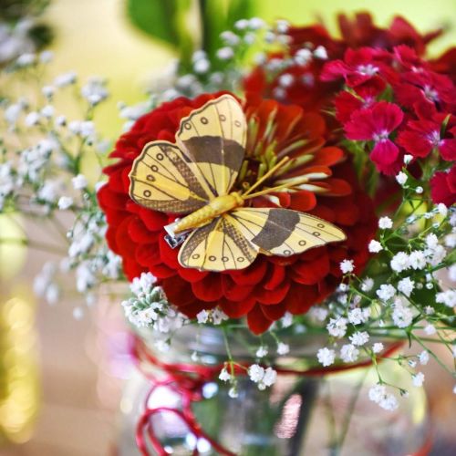 Artikel Lente vlinder met clip gouden lente decoratie 6cm 10st in een set