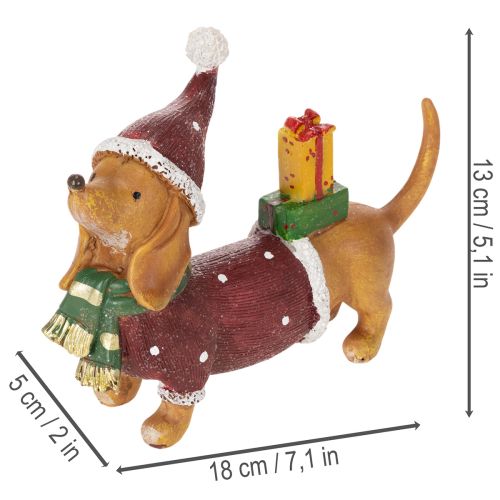 Decoratief teckelbeeldje met geschenkverpakking en hoedje, 18 cm | Floristik24.nl