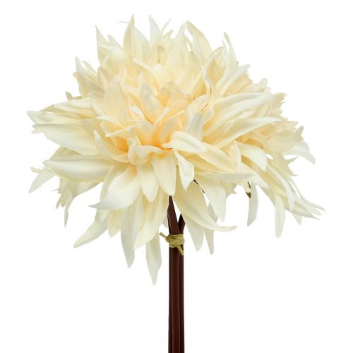 Floristik24 Dahlia kunst creme 25,5cm 3st