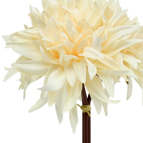 Floristik24 Dahlia kunst creme 25,5cm 3st