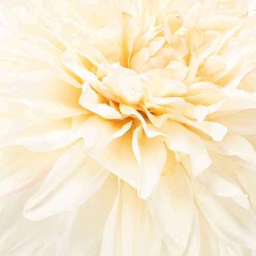 Kunstmatige dahlia voor vaas, 68 cm | Floristik24.nl