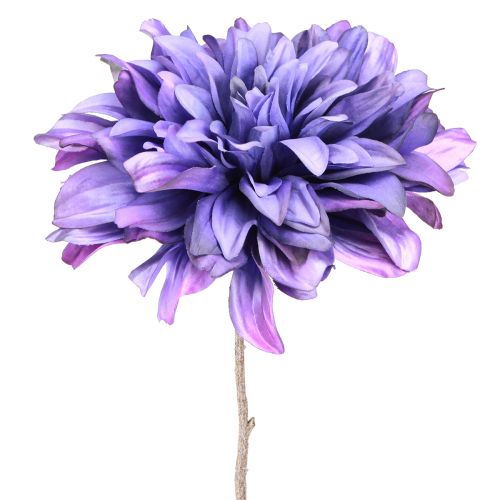 Floristik24 Kunstdahlia met grote bloemen in paars L58cm