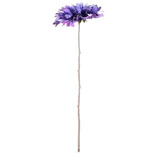 Floristik24 Kunstdahlia met grote bloemen in paars L58cm
