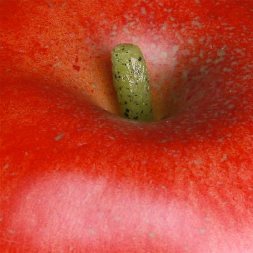 Artikel Decoratieve appelrode decoratieve fruitvoerdummy 9cm
