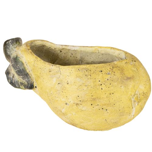 Floristik24 Decoratieve perenpot herfstpot beton 25×13×11cm