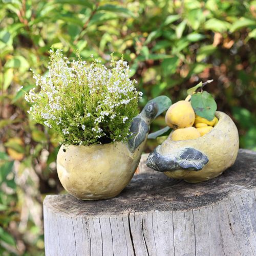 Floristik24 Decoratieve perenpot herfstpot beton 25×13×11cm