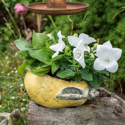 Artikel Decoratieve peer, keramiek om te decoreren, herfst, plantenpot L25cm H11cm