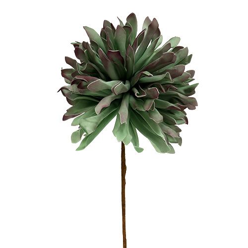 Floristik24 Decoratieve bloementak schuim groen 70cm