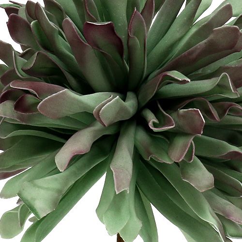 Floristik24 Decoratieve bloementak schuim groen 70cm