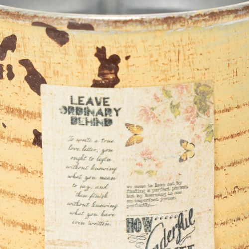 Artikel Decoratieve blikken plantenpot, zomerse abrikooskleur, metalen blik, Ø8cm H7,5cm