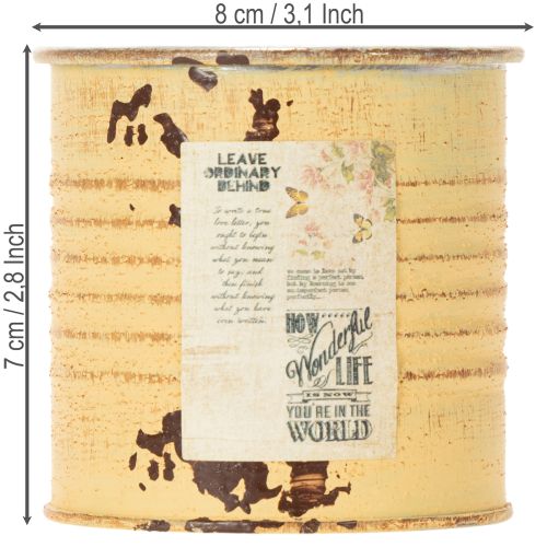 Artikel Decoratieve blikken plantenpot, zomerse abrikooskleur, metalen blik, Ø8cm H7,5cm