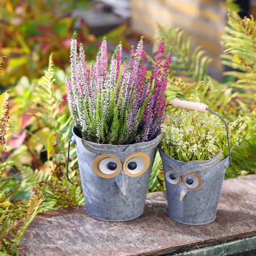 Floristik24 Decoratieve emmer uil plantenbak zink met handvat Ø15/19cm set van 2