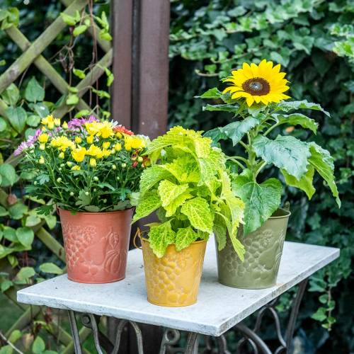 Artikel Sieremmer fruit gewassen geel, oranje, groen Ø15cm H14cm set van 3