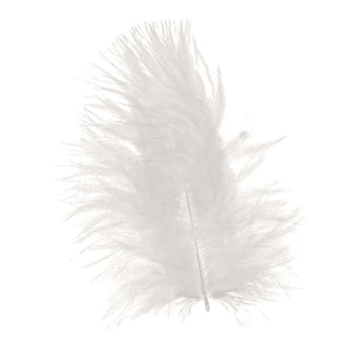 Floristik24 Decoratieve veren in witte hobbybenodigdheden lente 5-10cm 20g