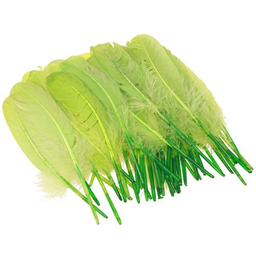 Artikel Decoratieve veren voor handwerk ganzenveren lichtgroen 20 g x 2 stuks