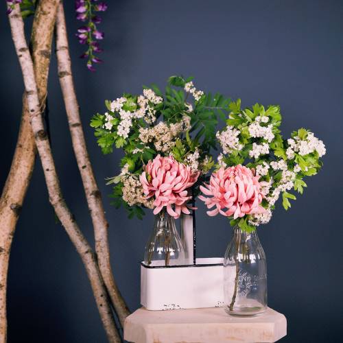 Floristik24 Decoratieve flesvazen in metalen houder H25cm