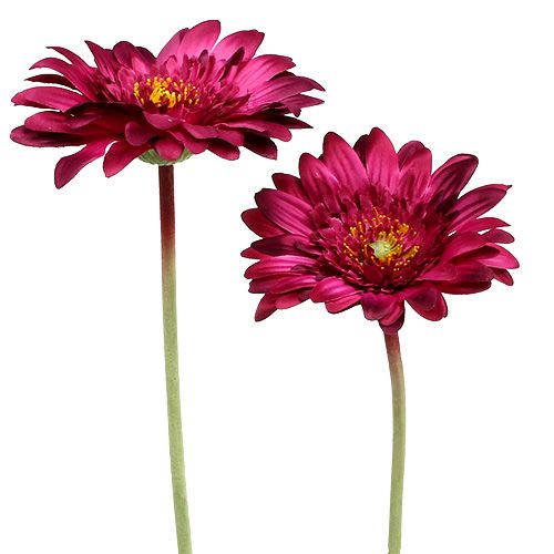Floristik24 Decoratieve gerbera donker roze Ø10cm L53cm 6st