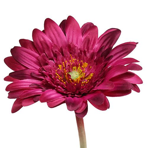 Floristik24 Decoratieve gerbera donker roze Ø10cm L53cm 6st
