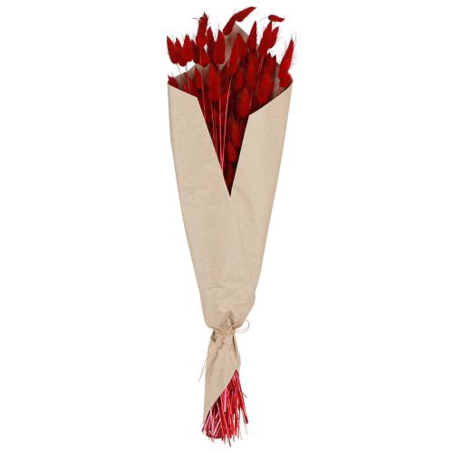 Floristik24 Decoratief Gras Rode Lagurus Gedroogde Bloemen Konijnenstaartgras 50g