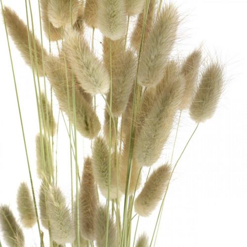 Artikel Gedroogde Lagurus, Lagurus gedroogde bloemen, Natuurlijk Lagurus gras L30–70cm 45g