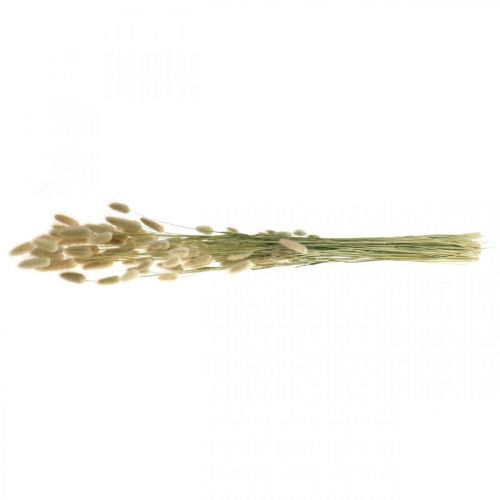 Artikel Gedroogde Lagurus, Lagurus gedroogde bloemen, Natuurlijk Lagurus gras L30–70cm 45g