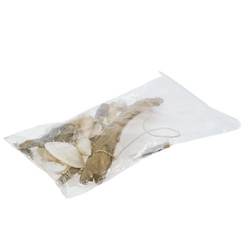 Floristik24 Decoratieve hanger met schelpen 19,5 cm x 41 cm