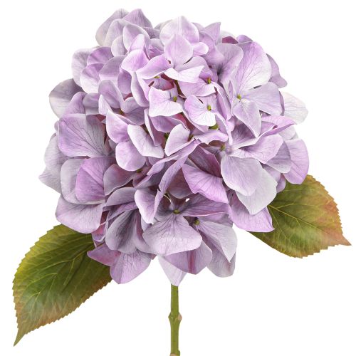 Artikel Decoratie Hortensia&#39;s Kunstbloemen Paarse Bloesem Ø18cm 69cm 2st