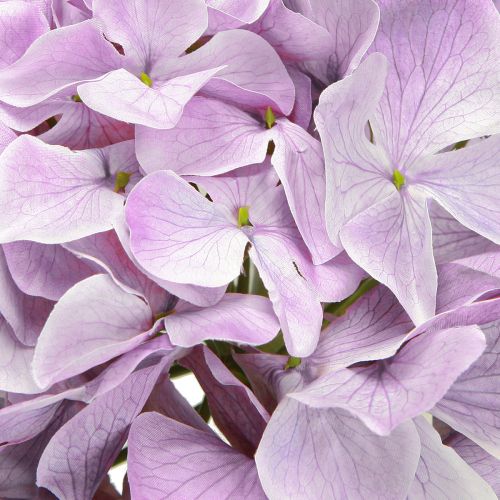 Artikel Decoratie Hortensia&#39;s Kunstbloemen Paarse Bloesem Ø18cm 69cm 2st