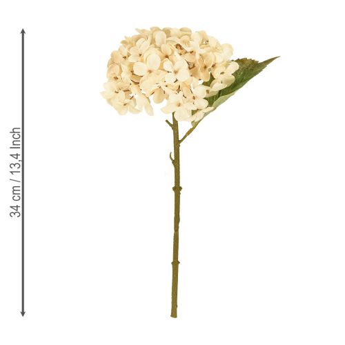 Artikel Decoratieve hortensia&#39;s kunstcrème zijden bloemen 34cm 2 stuks