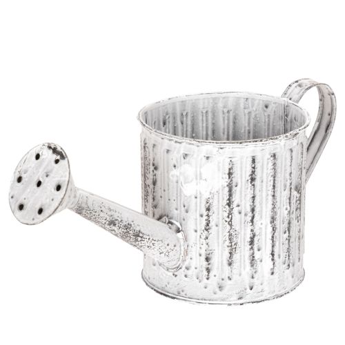 Decoratieve gieter, plantenbak, gieter voor het beplanten van planten Ø10,5 cm