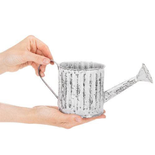Decoratieve gieter, plantenbak, gieter voor het beplanten van planten Ø10,5 cm | Floristik24.nl