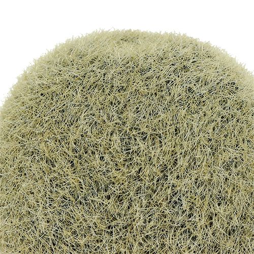 Floristik24 Decoratieve kiwi 6cm 6st