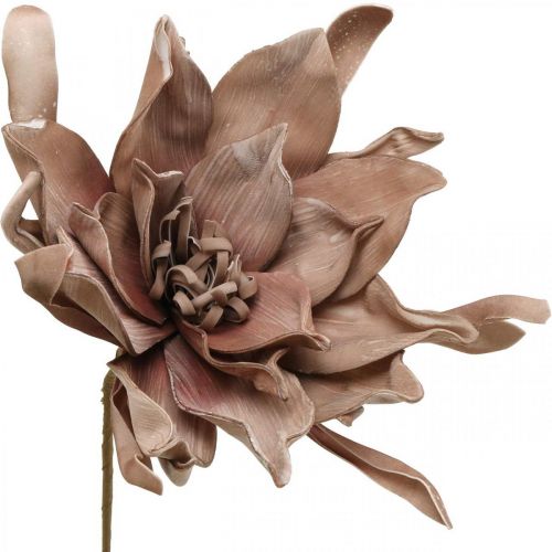 Floristik24 Deco lotusbloem kunst lotusbloem kunstbloem bruin L68cm