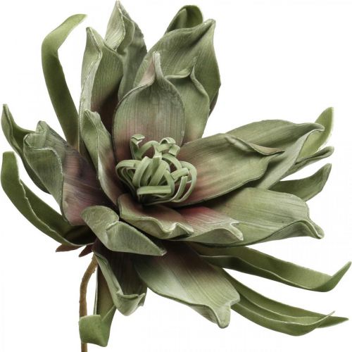 Floristik24 Deco lotusbloem kunst lotusbloem kunstbloem groen L70cm