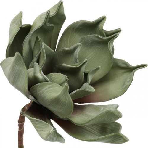 Floristik24 Deco lotusbloem, lotusbloesem, zijdebloem groen L64cm