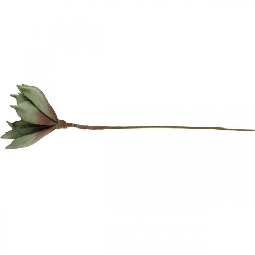 Floristik24 Deco lotusbloem, lotusbloesem, zijdebloem groen L64cm