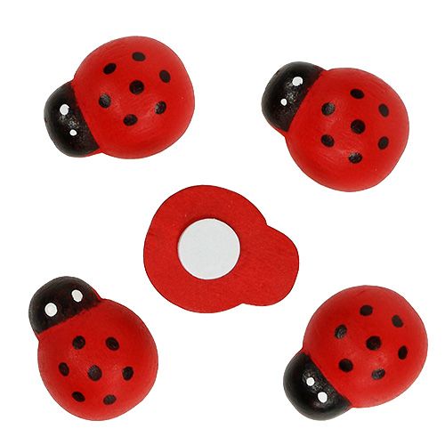 Floristik24 Decoratieve lieveheersbeestjes om te lijmen 2,5cm rood 72 st