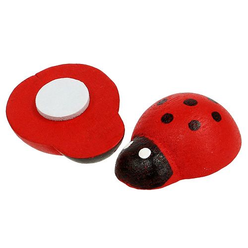 Artikel Decoratieve lieveheersbeestjes om te lijmen 2,5cm rood 72st