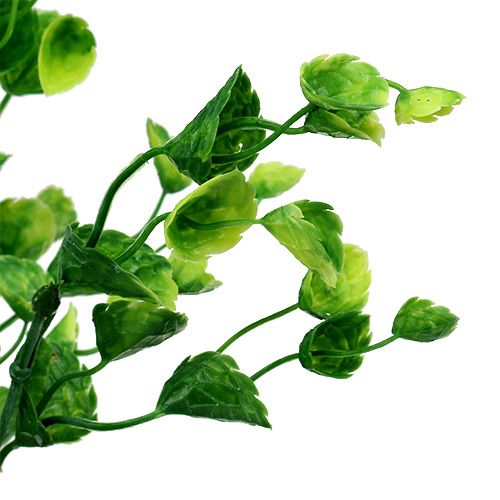 Floristik24 Deco takje mint groen L74cm 6st