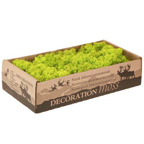 Artikel Deco mos lichtgroen rendiermos geconserveerd 400g