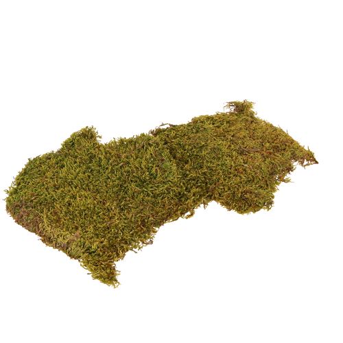 Decoratief mos voor het maken van lichtgroen natuurlijk mos geconserveerd 150g