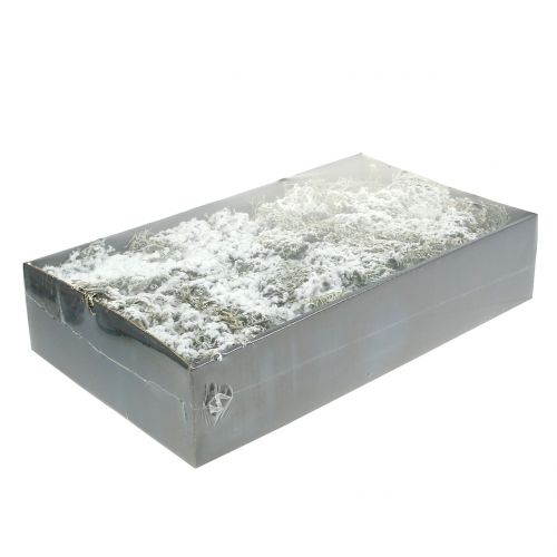 Floristik24 Decoratief mosgrijs besneeuwd 500g
