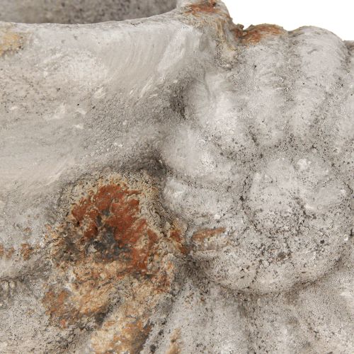 Artikel Decoratieve schelpensteenlook bloempot 22,5x13,5x13,5cm