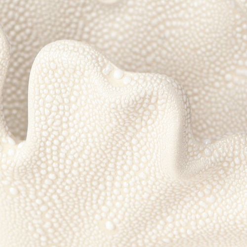 Artikel Decoratieve schelpenvaas mini keramiek vaas crème 14×7.5×9.5cm