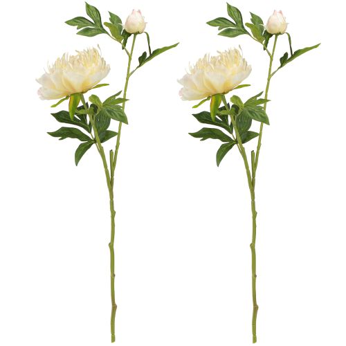 Artikel Decoratie Pioenrozen Kunstbloemen Gele Bloesem L64cm 2st