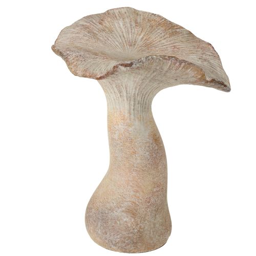 Decoratieve paddenstoel gegoten steen herfstdecoratie grijs gewassen 19×15cm H23cm