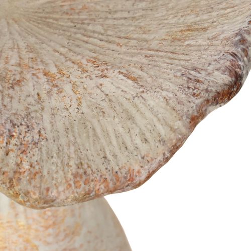Artikel Decoratieve paddenstoel gegoten steen herfstdecoratie grijs gewassen 19×15cm H23cm